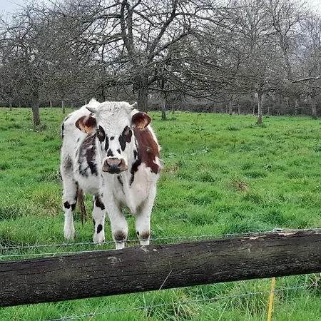 Semesterbostad La Bourgandie *