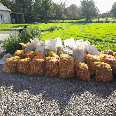 Casa vacanze La Bourgandie Englesqueville-la-Percée