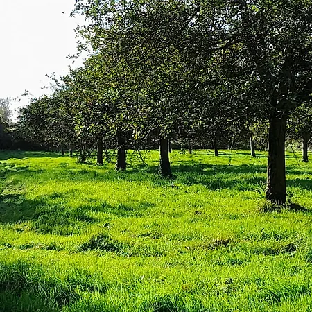 La Bourgandie * Englesqueville-la-Percée