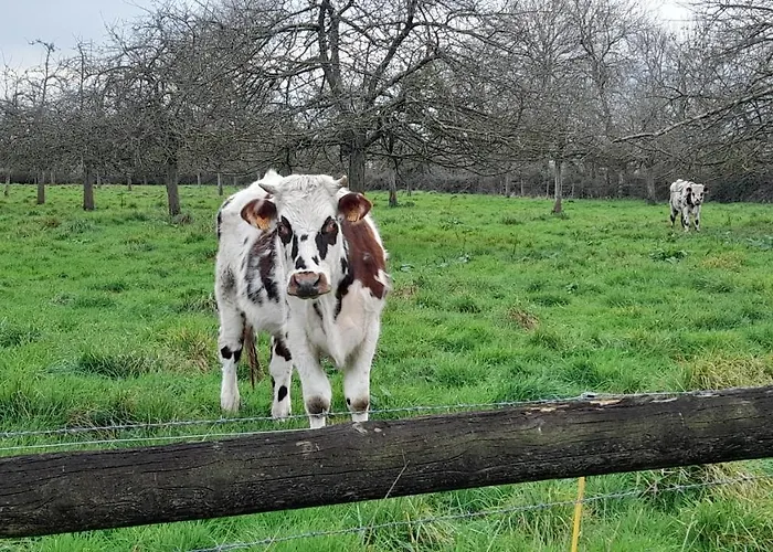 Casa vacanze La Bourgandie *