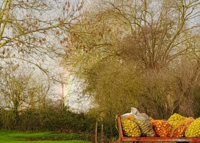 La Bourgandie بيت للعطل Englesqueville-la-Percée