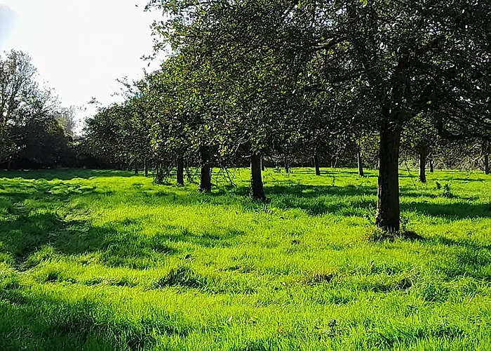 La Bourgandie * Englesqueville-la-Percée